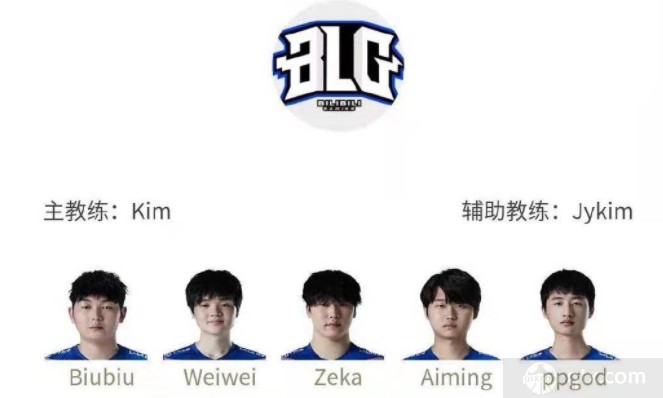 他们不仅是 他们不仅是