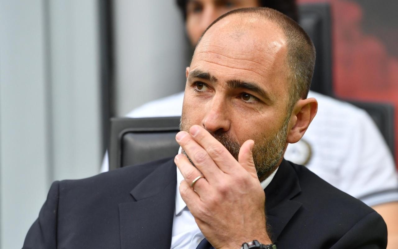 迷的共同努 迷的共同努